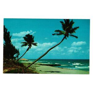 Vintage Postcard Whispering Palms On The Florida Coast Vacation Ocean Beach